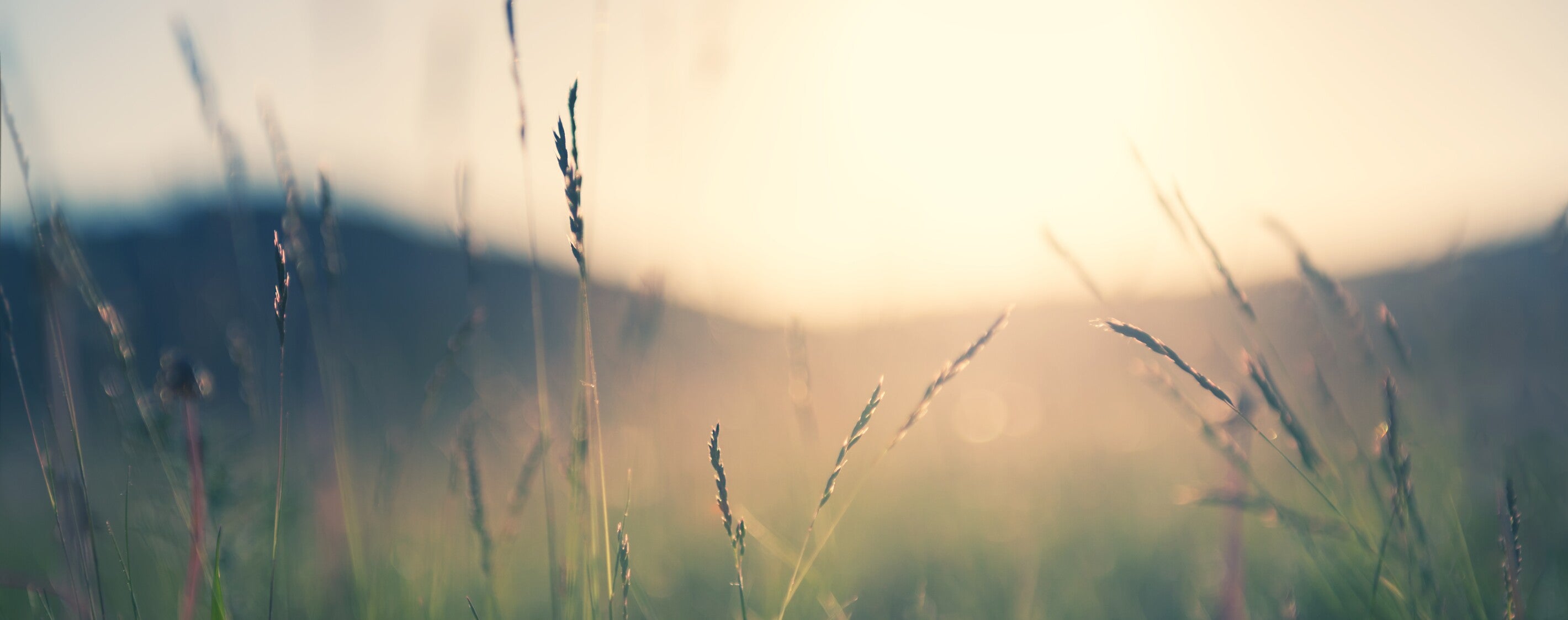 10 Ways to Nurture Your Spiritual Life