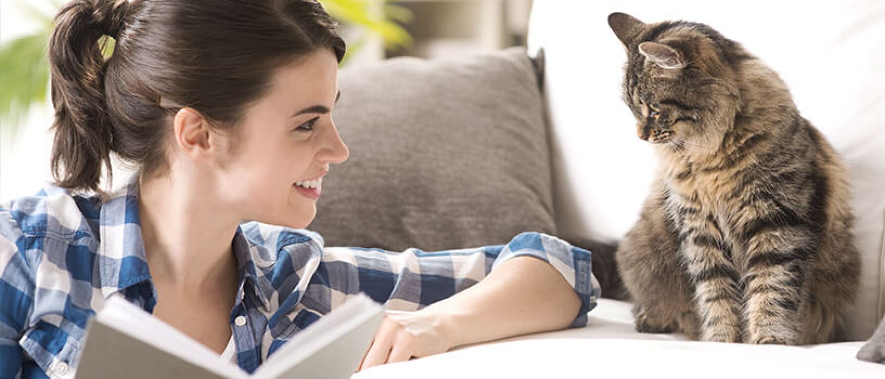 4 Benefits of Owning a Pet