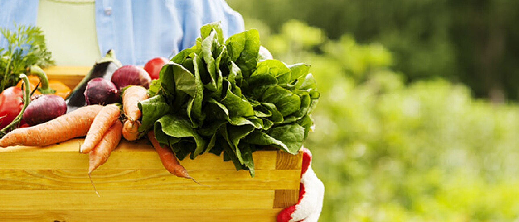 Deepak Chopra’s Weekly Health Tip