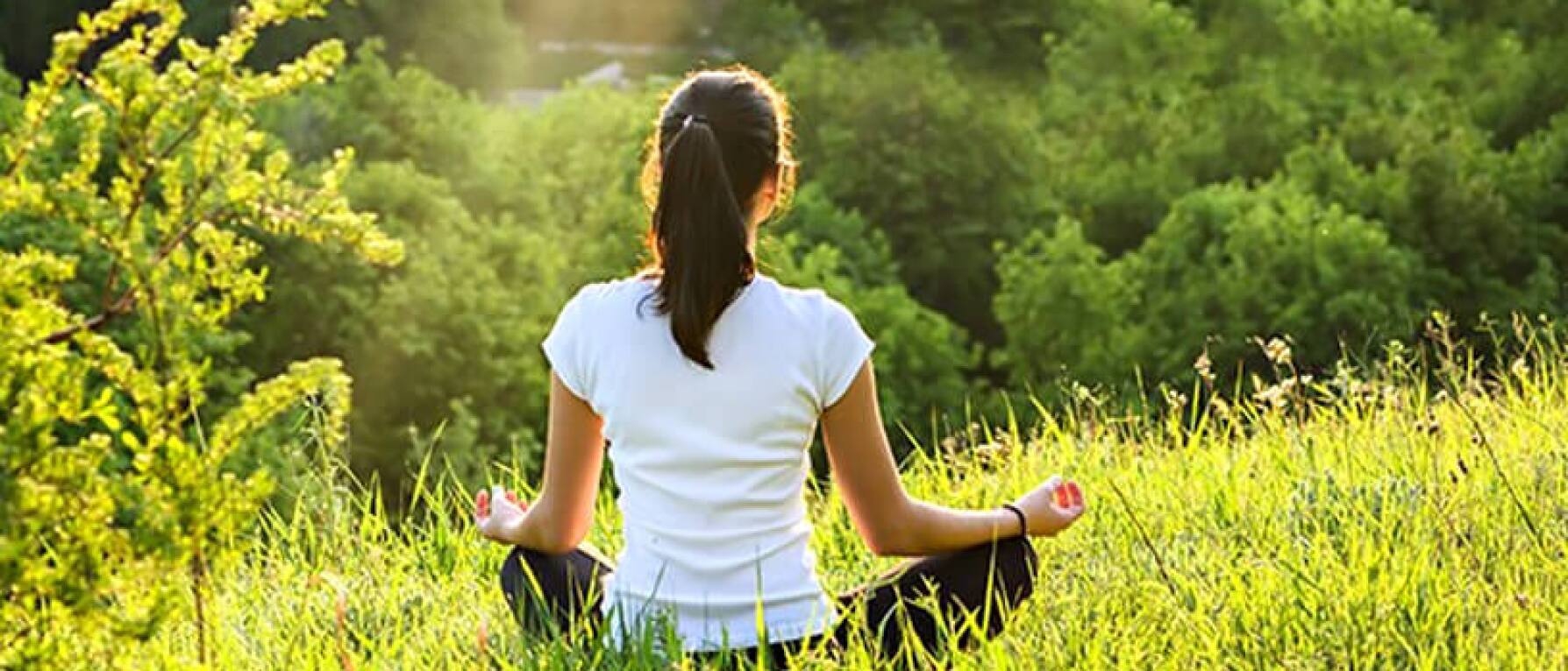How to Incorporate the 5 Elements into Meditation Practice