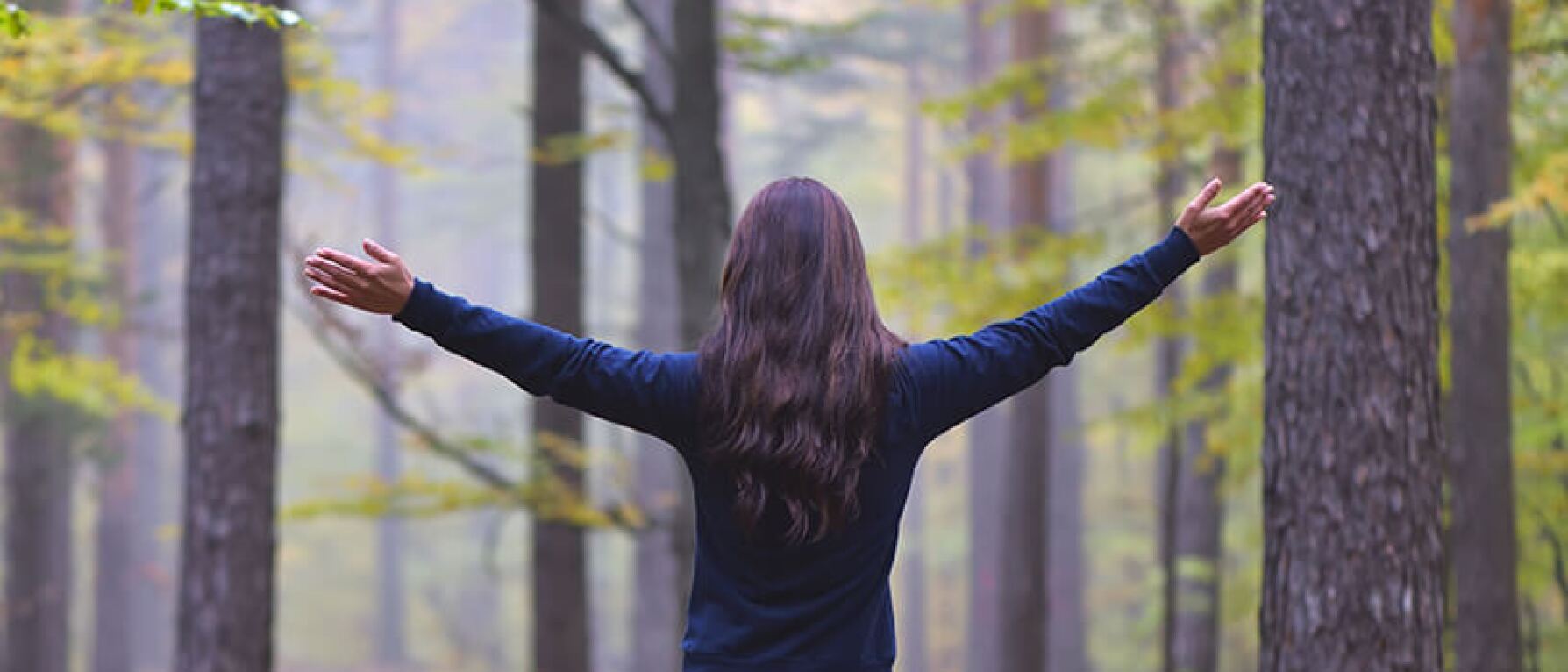 How to Practice Qi Gong’s Forest Meditation