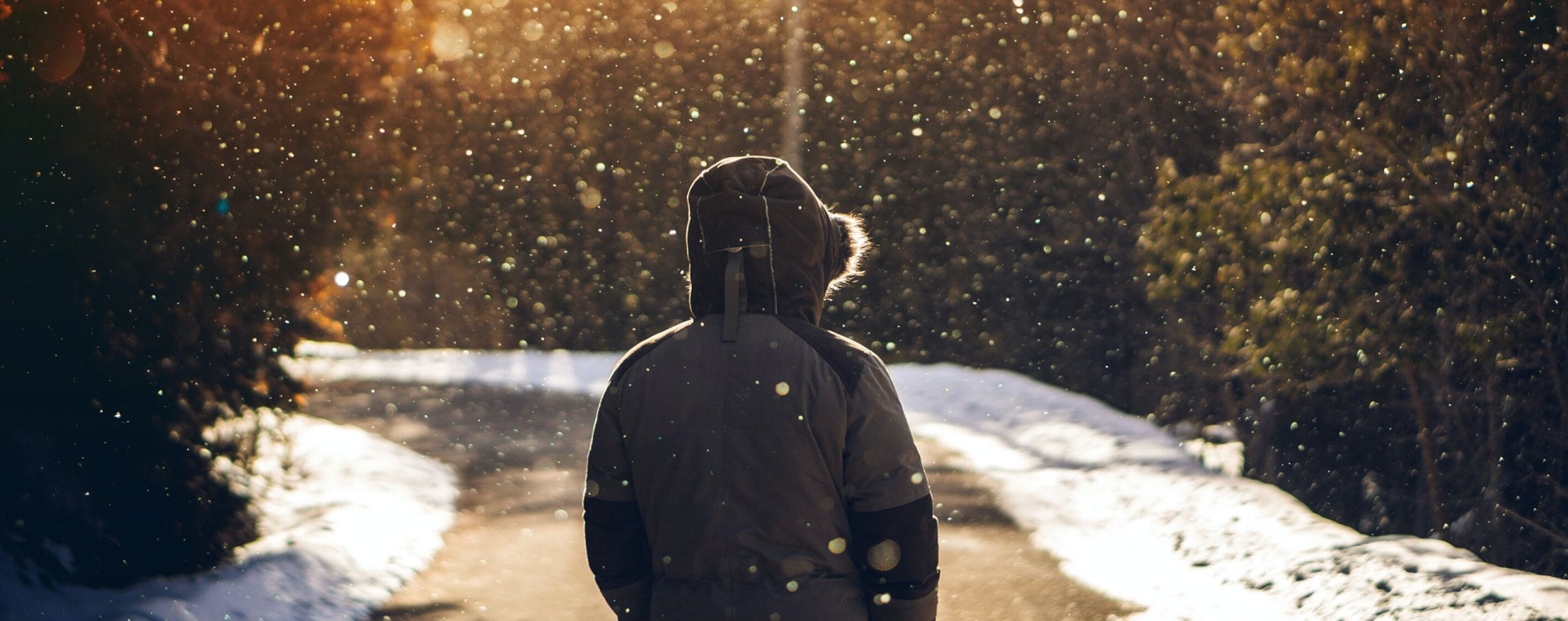 Making Your New Year Truly New