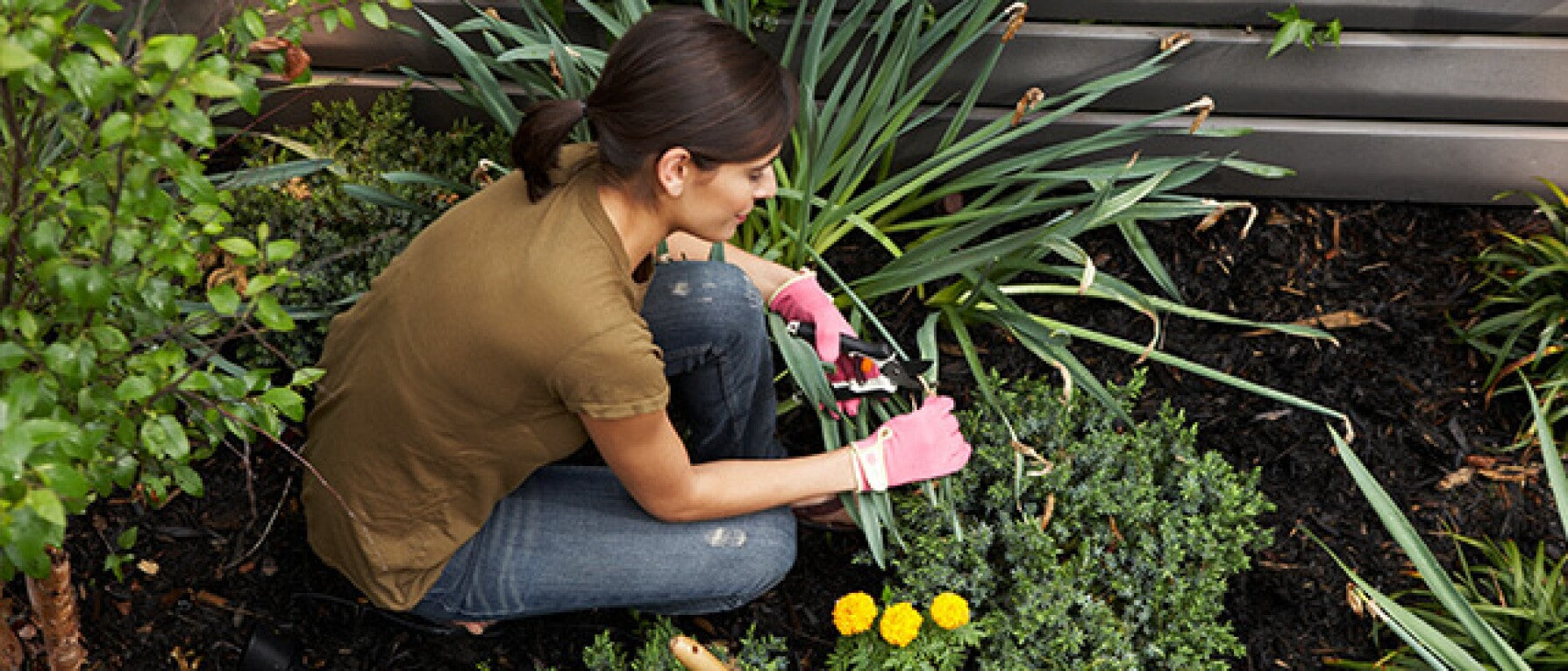 Spring Reset for Your Home, Body, and Mind