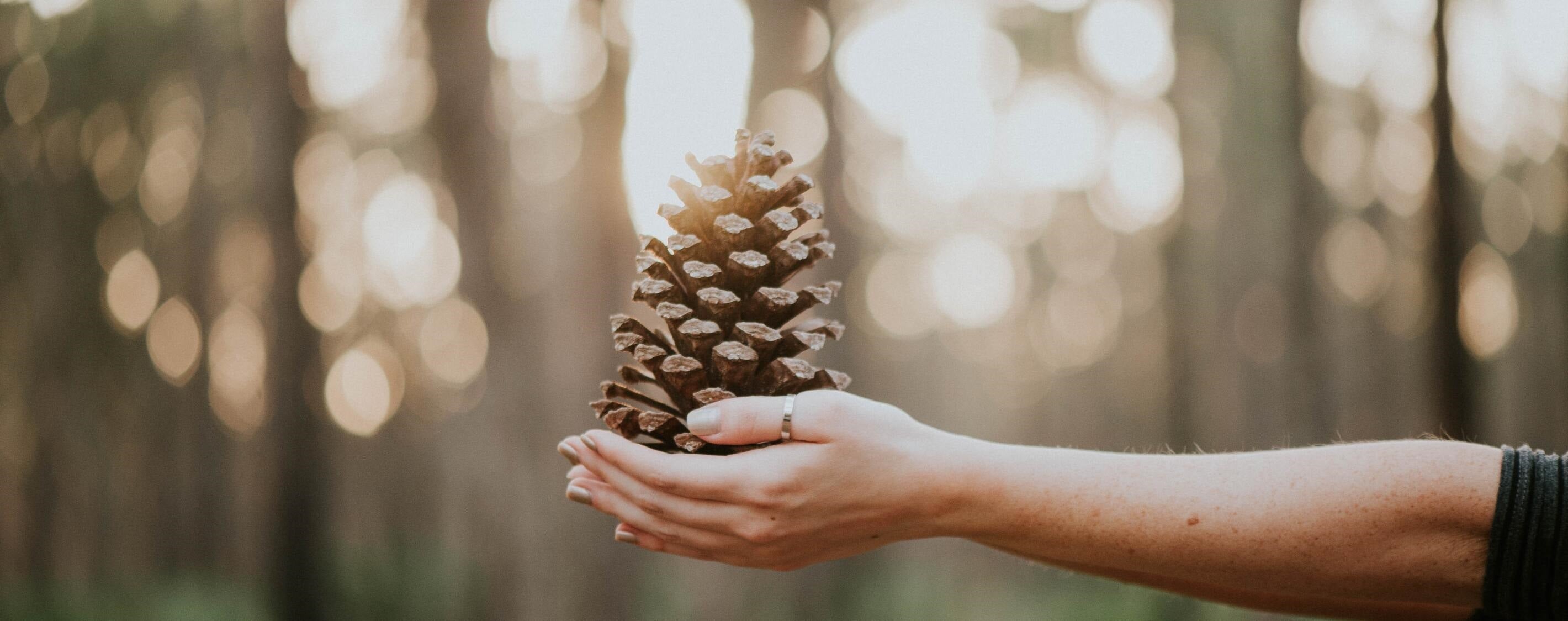 The Power of Giving and Receiving: Which One Is Better?
