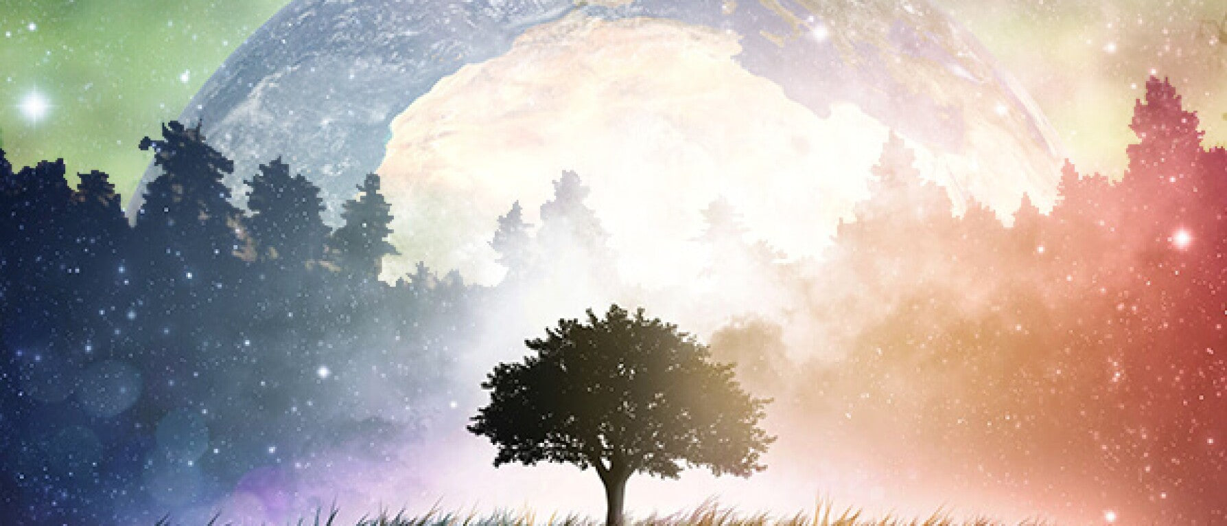 What is Cosmic Consciousness?