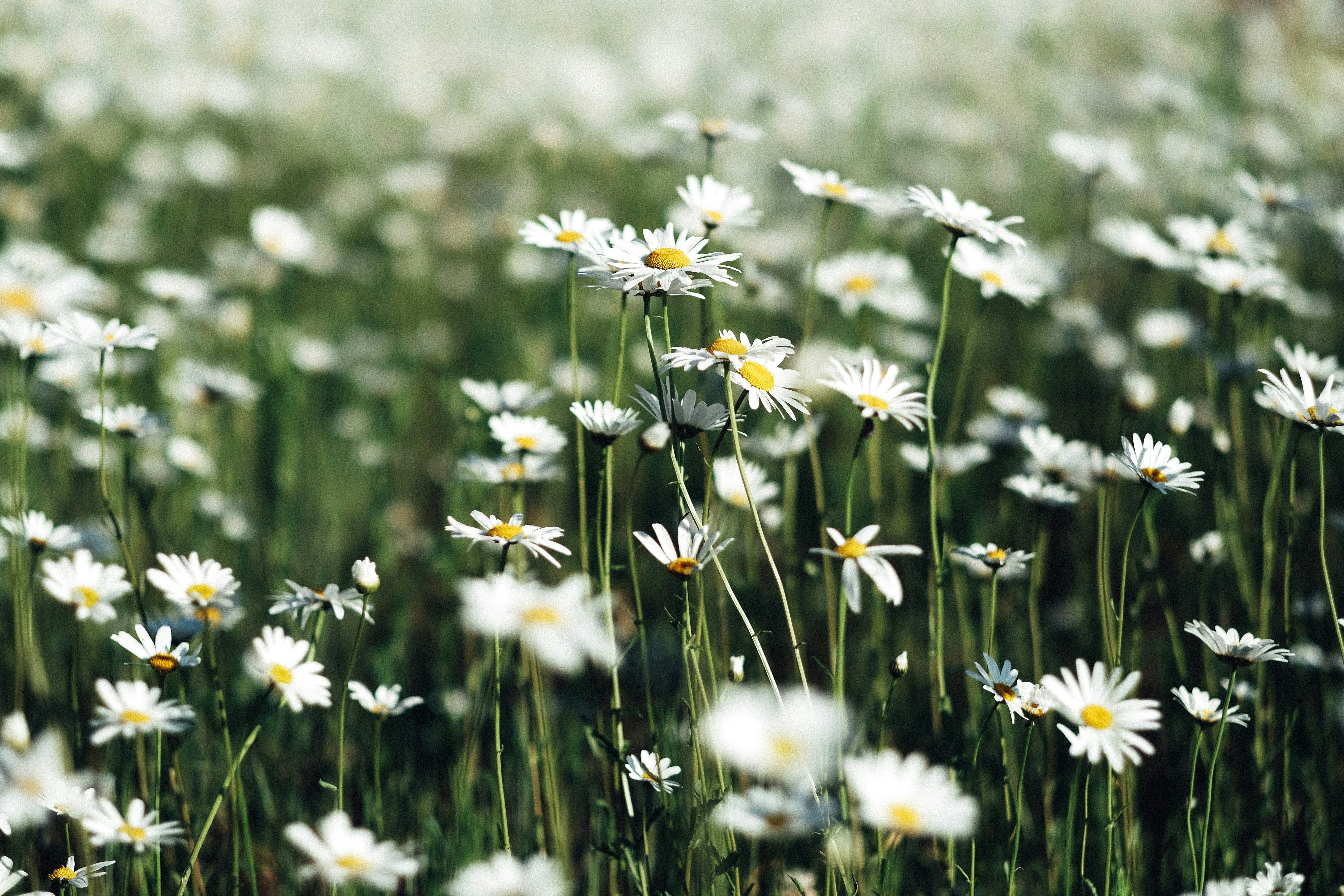 5 Ways to Feel Less Vulnerable